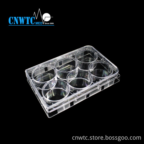 PS 6 Holes Laboratory Tissue Culture Plate